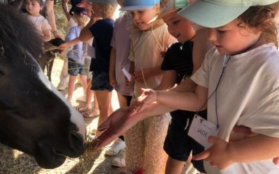 Sortie à la ferme !